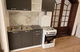 Casa 12 camere, 450 mp, zona Lipovei