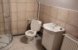 Casa regim P+1E+M zona Lipovei