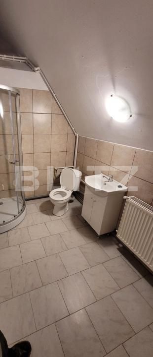 Casa de închiriat 12 camere Lipovei - 185109CI | BLITZ Timișoara | Poza13
