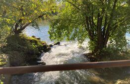 Teren cu potențial turistic si energetic - 25.383 mp – Chizătău