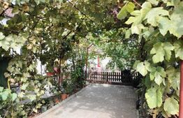 Vanzare Casa / Vila