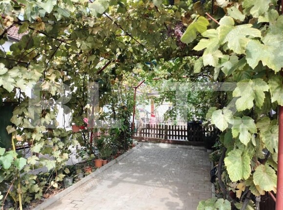 Casa de vânzare 3 camere Bucovina - 185314CV | BLITZ Timișoara | Poza4