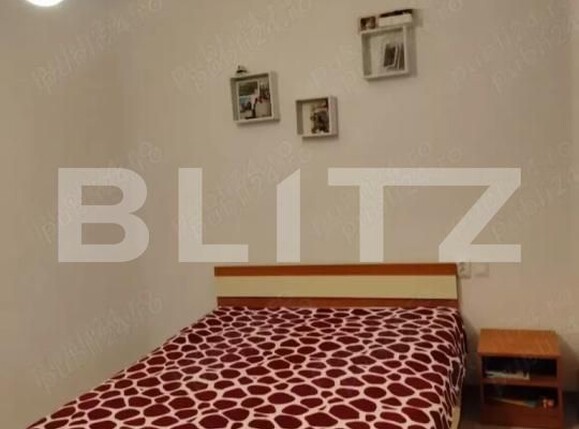 Casa de vânzare 3 camere Bucovina - 185314CV | BLITZ Timișoara | Poza7