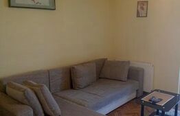 Apartament 1 camera Circumvalatiunii