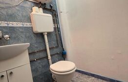  Apartament spațios cu 4 camere, 2 băi și cămară, zona Lipovei