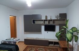 Garsonieră de vânzare Giroc - 170082AV | BLITZ Timișoara | Poza4