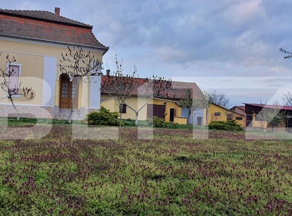 Casa de vânzare 5 camere Jimbolia - 185373CV | BLITZ Timișoara | Poza3