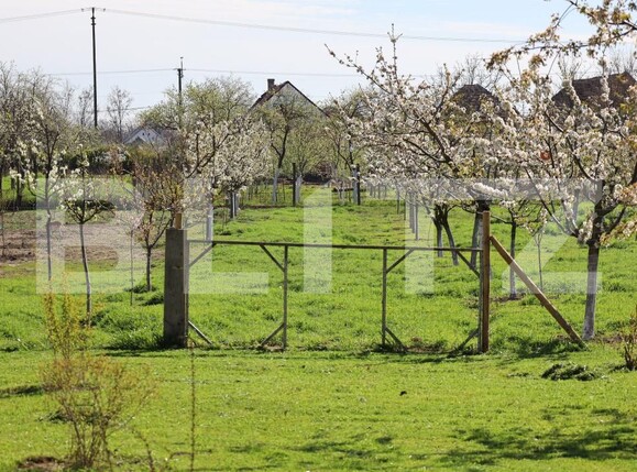 Casa de vânzare 5 camere Jimbolia - 185373CV | BLITZ Timișoara | Poza15