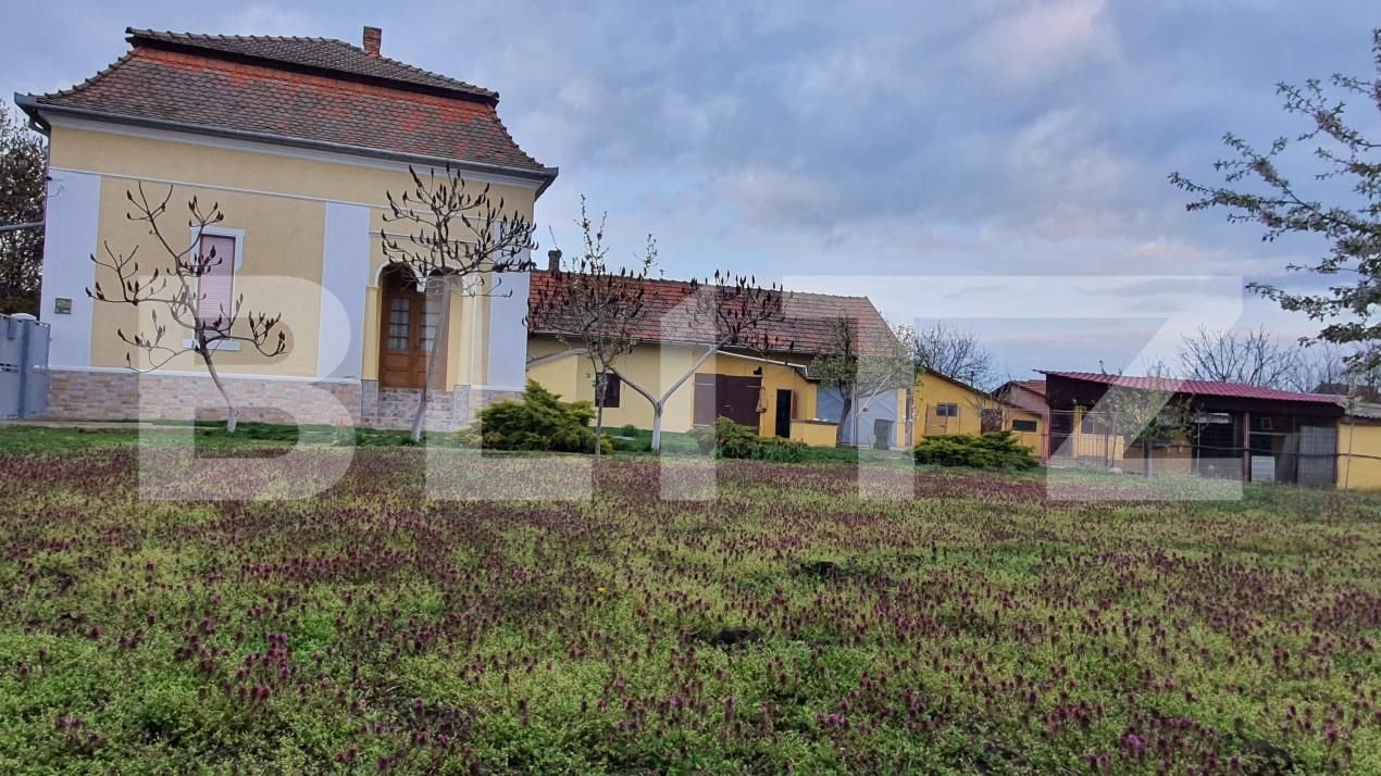 Casa de vânzare 5 camere Jimbolia - 185373CV | BLITZ Timișoara | Poza3