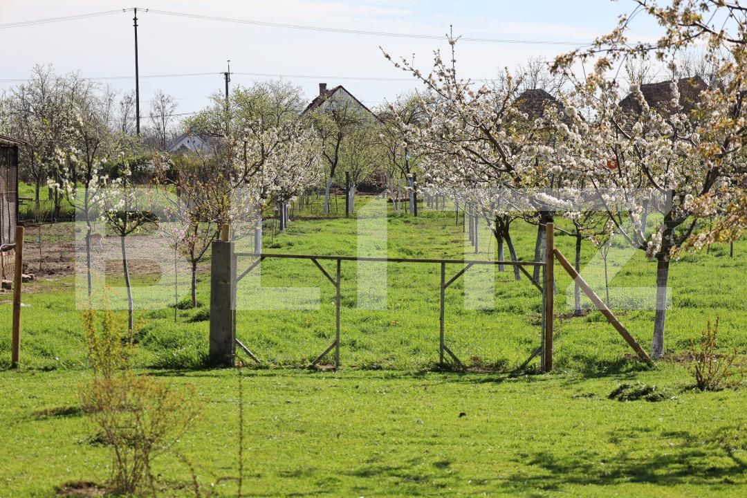 Casa de vânzare 5 camere Jimbolia - 185373CV | BLITZ Timișoara | Poza15