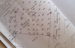 Casa individuala, 120 mp, zona Torontalului Metro 2