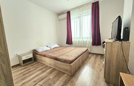 Apartament o camera, 40 mp, zona Torontalului/Vox