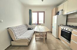 Apartament o camera, 40 mp, zona Torontalului/Vox