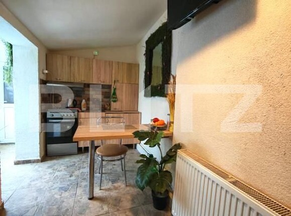 Casa de vânzare 3 camere Sagului - 185460CV | BLITZ Timișoara | Poza18