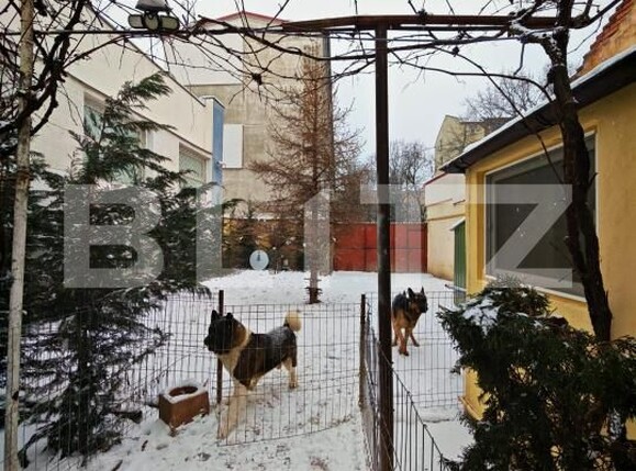 Casa de vânzare 3 camere Sagului - 185460CV | BLITZ Timișoara | Poza13