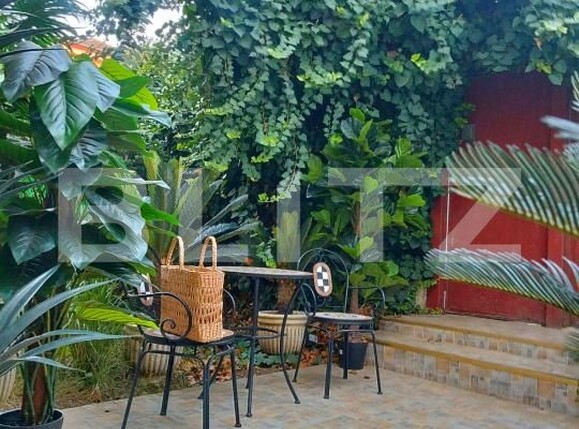 Casa de vânzare 3 camere Sagului - 185460CV | BLITZ Timișoara | Poza7