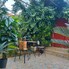 Casa de vânzare 3 camere Sagului - 185460CV - Poza 1 din 14 | BLITZ Timișoara | Poza6