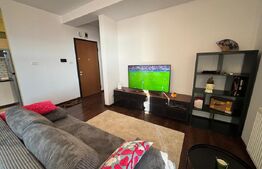 Apartament 2 camere, 52 mp, zona Elisabetin