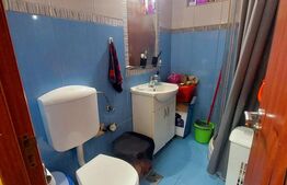 Vand apartament zona centrala