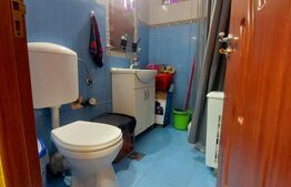 Vand apartament zona centrala