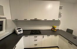 Duplex mobilat complet, 94 mp utili, teren 317 mp, zonă excelentă – Moșnița Nouă