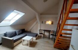 Garsoniera mansardata, 24 mp, zona Iosefin