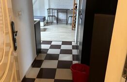 Garsoniera mansardata, 24 mp, zona Iosefin