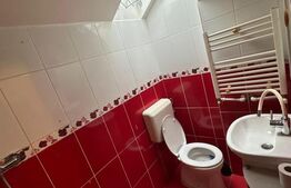 Garsoniera mansardata, 24 mp, zona Iosefin