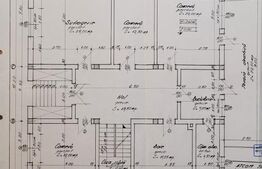 Casa Individuala artera principala Ghiroda, rezidential sau clinica / salon
