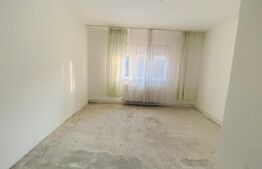 Casa Individuala artera principala Ghiroda, rezidential sau clinica / salon