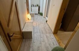 Casa individuala, 200 mp, Calea Bogdanestilor