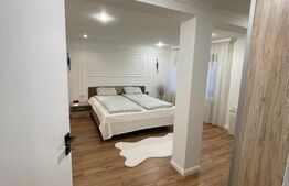 Casa individuala, 200 mp, Calea Bogdanestilor