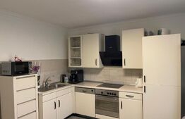 Casa individuala, 200 mp, Calea Bogdanestilor