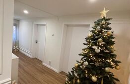 Casa individuala, 200 mp, Calea Bogdanestilor