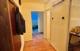 Apartament de vânzare 2 camere Freidorf - 186798AV | BLITZ Timișoara | Poza5