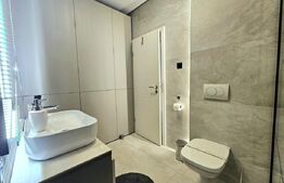 Penthouse, 116 mp, Calea Torontalului