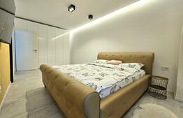 Penthouse, 116 mp, Calea Torontalului