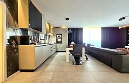 Penthouse, 116 mp, Calea Torontalului