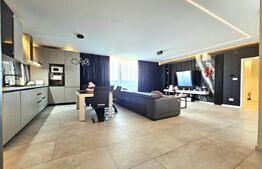 Penthouse, 116 mp, Calea Torontalului