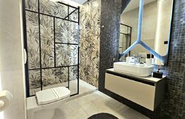 Penthouse, 116 mp, Calea Torontalului