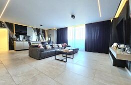 Penthouse, 116 mp, Calea Torontalului