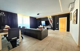 Penthouse, 116 mp, Calea Torontalului