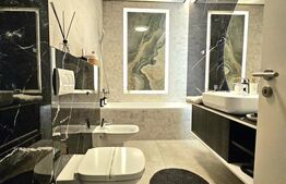 Penthouse, 116 mp, Calea Torontalului