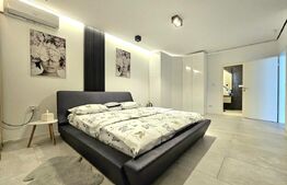 Penthouse, 116 mp, Calea Torontalului