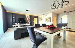 Penthouse, 116 mp, Calea Torontalului