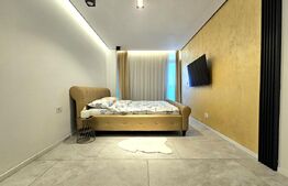 Penthouse, 116 mp, Calea Torontalului