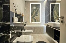 Penthouse, 116 mp, Calea Torontalului