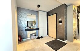 Penthouse, 116 mp, Calea Torontalului