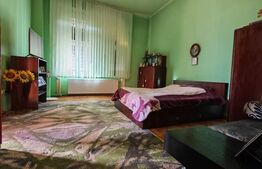 Clădire istorică, 3 camere, view spectaculos, Iosefin