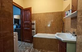 Clădire istorică, 3 camere, view spectaculos, Iosefin